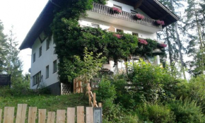 Pension Adlerhorst Ramsau Am Dachstein